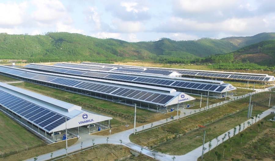 điện mặt trời cho trang trại